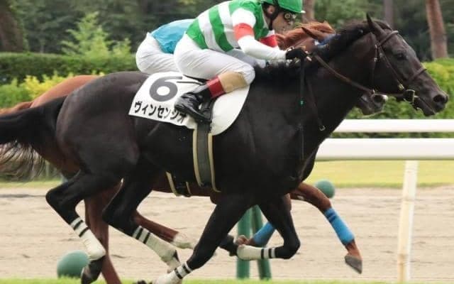 名牝シーザリオの孫 “出世レース”を無傷連勝で飾れるか