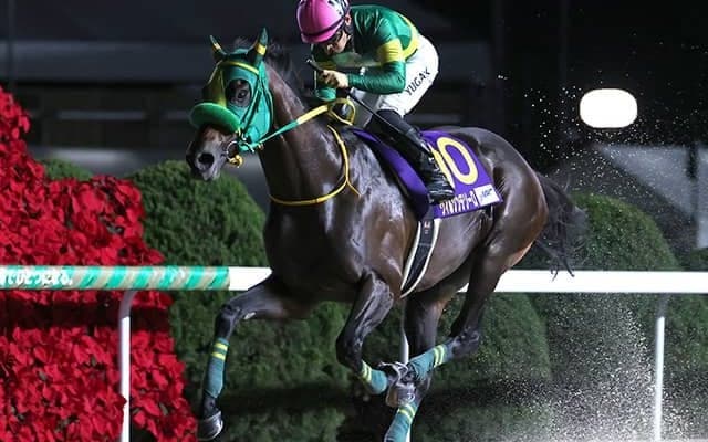 荒れるチャンピオンズC “過去10年勝利なしデータ”に該当した人気馬の取捨がカギ