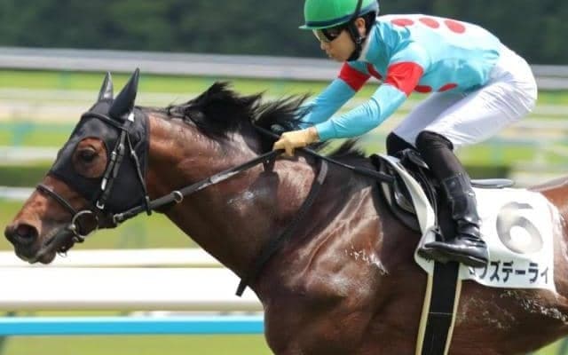 現役最強馬ドウデュースの半兄 鞍上にC.デムーロ騎手を迎え復活の狼煙を上げられるか