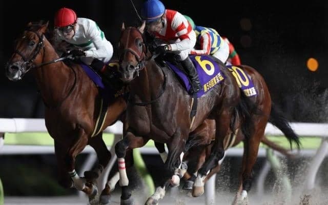 【カペラS想定馬・騎手】チカッパ、テイエムトッキュウなど21頭