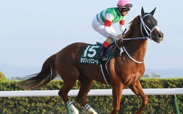 【競馬予想】チャンピオンズカップは人気馬に不安あり　人気薄の実力馬２頭に逆転の目