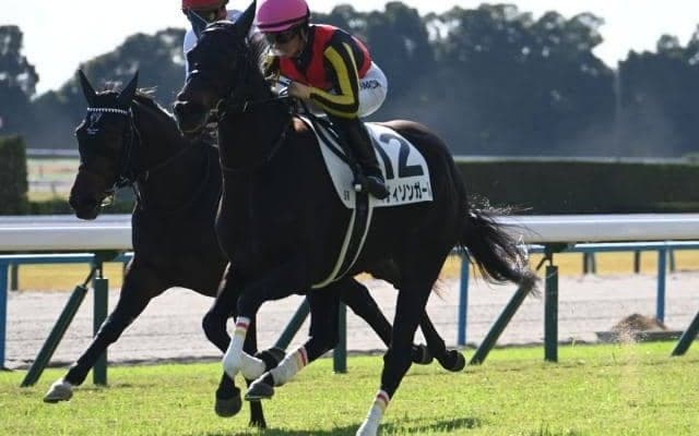 【京都5R新馬戦結果】リバティアイランドの半妹マディソンガールが初陣飾る