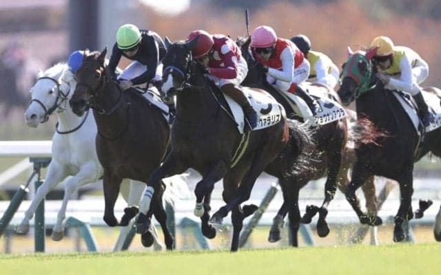 【新馬/中山5R】11番人気の伏兵ヴィヴァラリスが波乱を演出