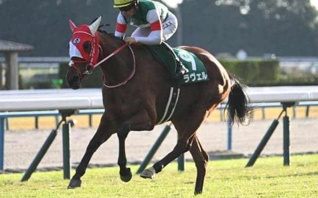 【チャレンジC結果】牝馬ラヴェルが完勝！ 22年アルテミスS以来の重賞2勝目