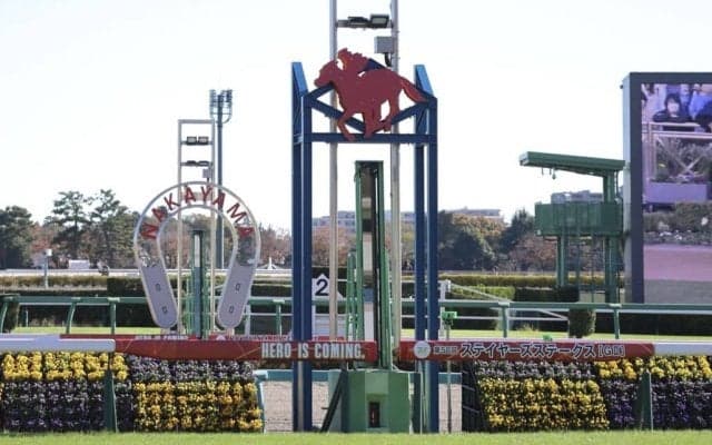 【ステイヤーズS】シュヴァリエローズが大接戦を制する…2着は12番人気シルブロン