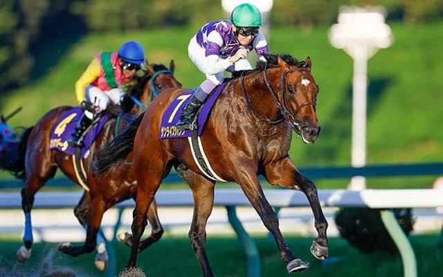 【チャンピオンズC予想】前走の初角での位置取りに注意！ 前哨戦の勝利を鵜呑みにできない人気馬とは