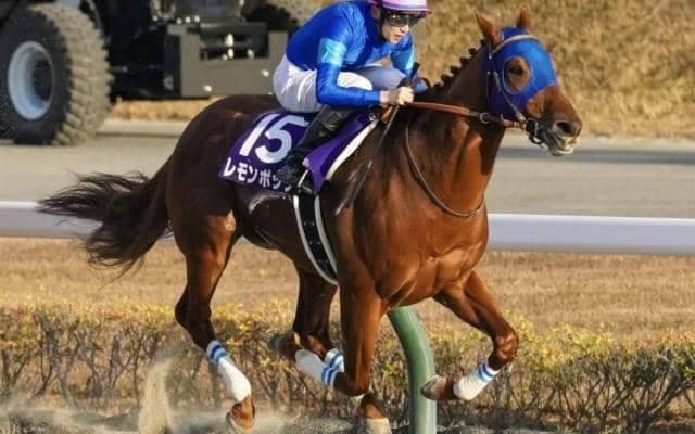 【チャンピオンズC前日オッズ】レモンポップが2.2倍で1番人気