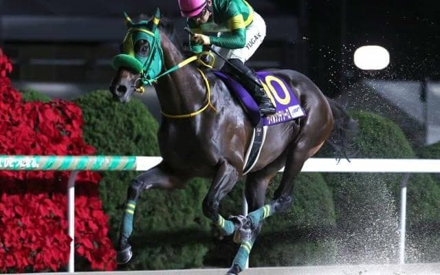 【AI予想・チャンピオンズC】新たなダート王の誕生に期待！ 本命は5歳にして完成の域に入った実力馬