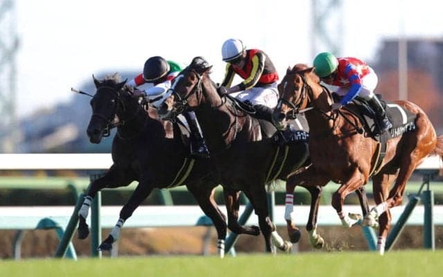 【葉牡丹賞】ヴィンセンシオがデビュー2連勝