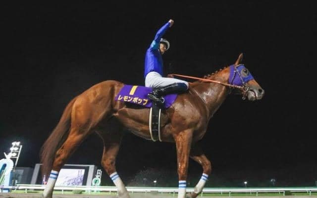 【今日の注目ポイント】チャンピオンズCでレモンポップがラストラン