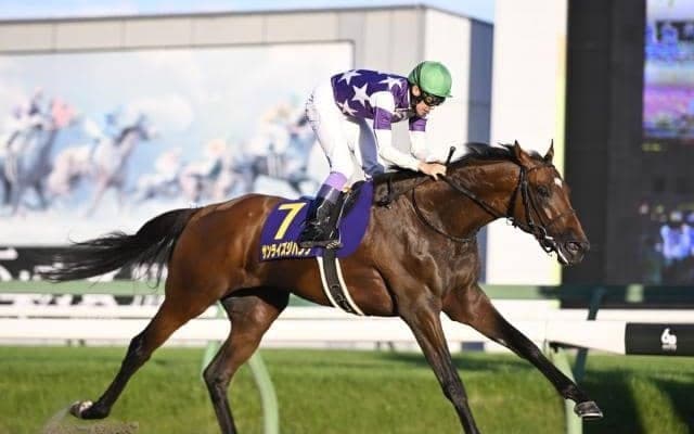 【チャンピオンズC予想】現役屈指のダート馬集結！ 速い上がりを使えるかがカギを握る