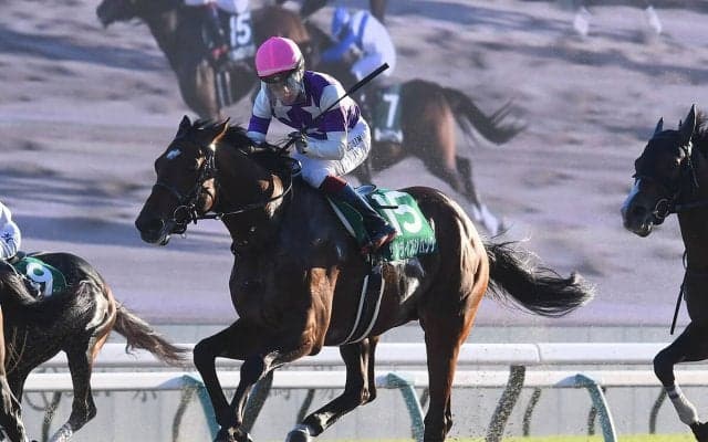 【競馬血統予想】チャンピオンズカップはキズナ産駒が圧倒的　今年のレースに出走する２頭は信頼できる？