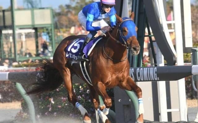 【チャンピオンズC予想】パターンから狙える今年の特注馬は？ 過去データから探るGIチャンピオンズC