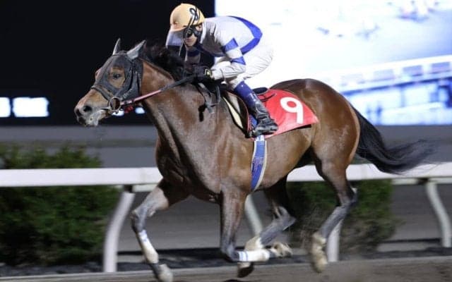 【高知・浦戸湾特別】エマージングロールが快勝…赤岡「距離向いたのかも」