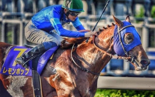 【チャンピオンズC・馬体重】レモンポップは516kg(+2)、ウィルソンテソーロは482kg(-4)