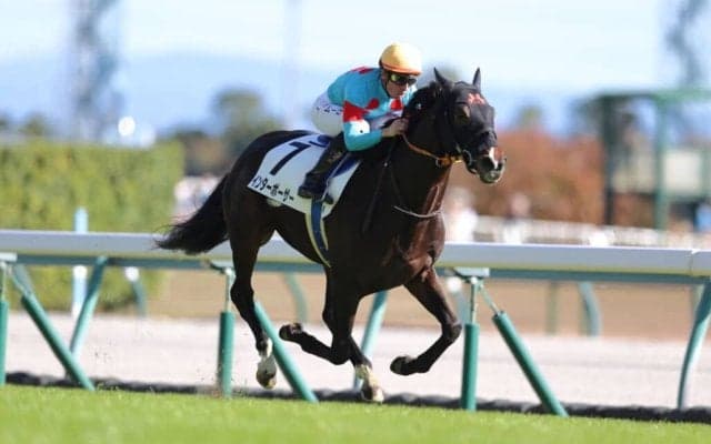 【中京5R】C.デムーロ騎乗 インターポーザーが初勝利