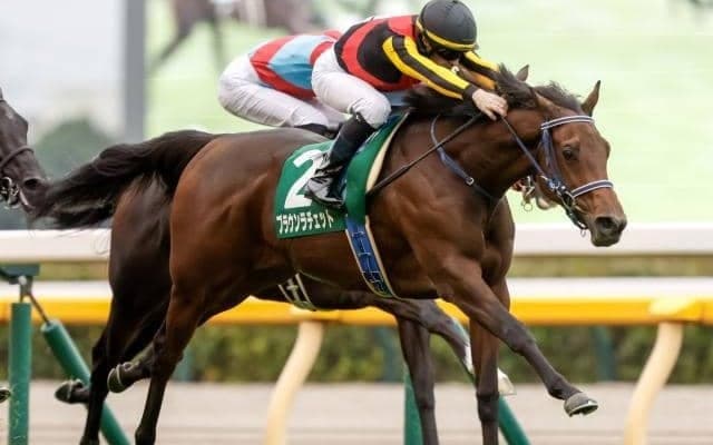 2歳女王決定戦・阪神JFなど3重賞と香港国際競走/今週の競馬界の見どころ