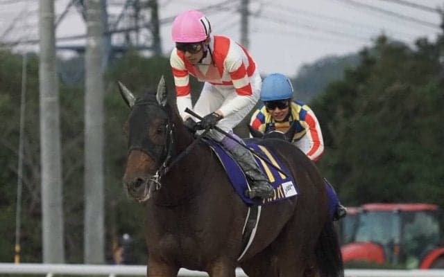 【カペラS登録馬】チカッパなど21頭