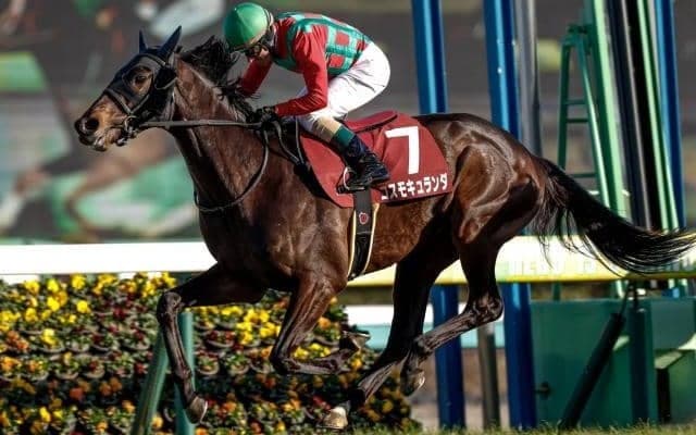 【中日新聞杯見どころ】コスモキュランダが年長馬を一蹴する