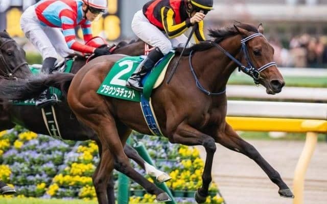 世界を股にかけるフォーエバーヤングの半妹 阪神JFを勝利で飾り来春の主役候補に名乗り上げるか