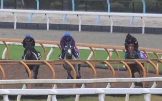 叔父にGI馬ポタジェがいる血統 土曜京都で初陣迎えるオーレアミスト/関西馬メイクデビュー情報