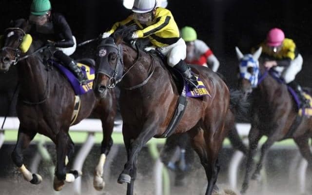 【大井・勝島王冠枠順】巻き返し図るサヨノネイチヤは5枠9番、JRAから転入のクリノドラゴンは6枠10番