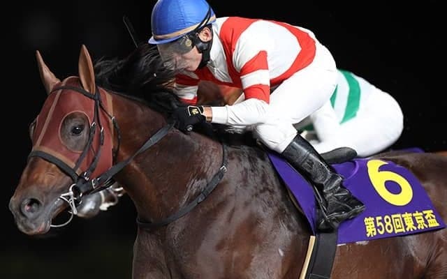 【カペラS想定騎手】チカッパは横山典弘騎手、インビンシブルパパは三浦皇成騎手