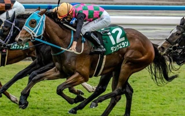 宝塚記念2勝の名オーナーが22年ぶりのJRA・GI制覇へ ファンタジーS覇者がビッグタイトル狙う