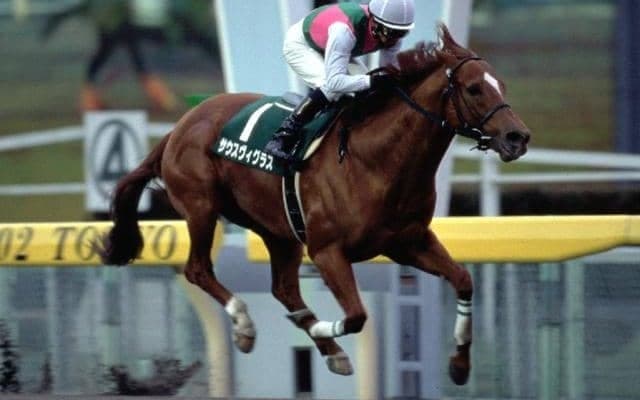 ダート競馬の勢力図を塗り替えた「サウスヴィグラス」 父や母父としても優れた影響力を発揮