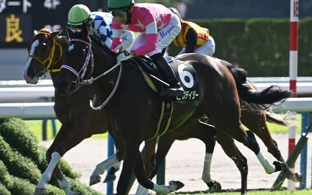 【阪神JF】春は皐月賞・ダービーへの参戦も？ 牝馬ながらクラシック三冠競走に登録している2頭とは