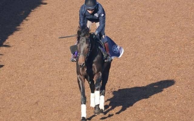 ミュージアムマイルなど、先週の入厩情報/栗東トレセンニュース