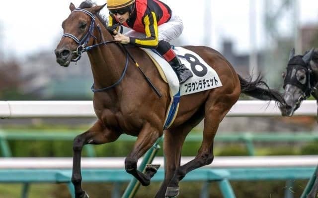 【阪神JF予想オッズ】ブラウンラチェットが予想1番人気