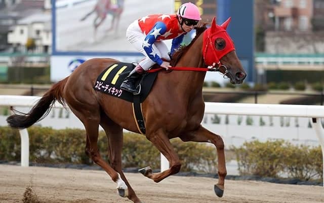 南関東牝馬二冠のスピーディキックが引退へ 30日の東京シンデレラマイルでラストラン