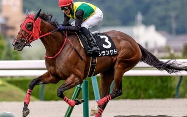 【中日新聞杯予想オッズ】シランケドが予想1番人気