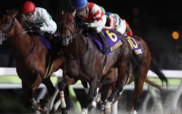 【カペラS予想オッズ】チカッパが予想1番人気