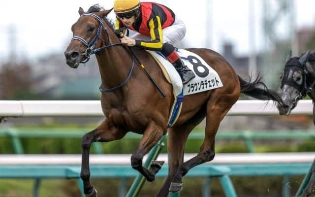 【阪神JF展望】ゆとりのあるローテーションの重賞組が理想