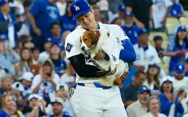 動き回るデコピン…MLB公式がまたイジリ　まさかの投稿にX混乱「何してんすか」