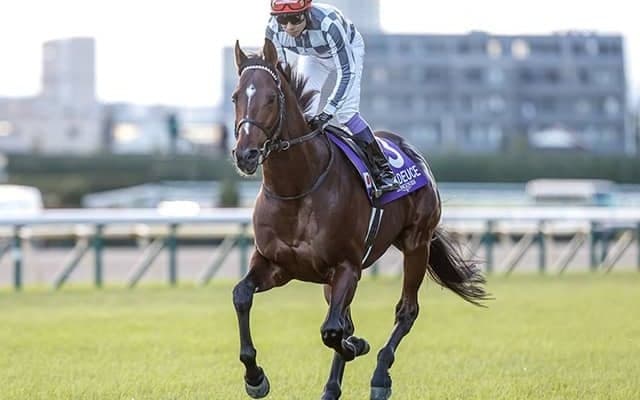 【有馬記念想定】ドウデュース、ダノンデサイルなど23頭