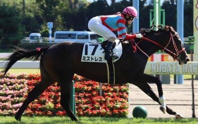 【阪神JF予想】高く評価された潜在能力も魅力 AIが推奨する妙味ある一頭とは