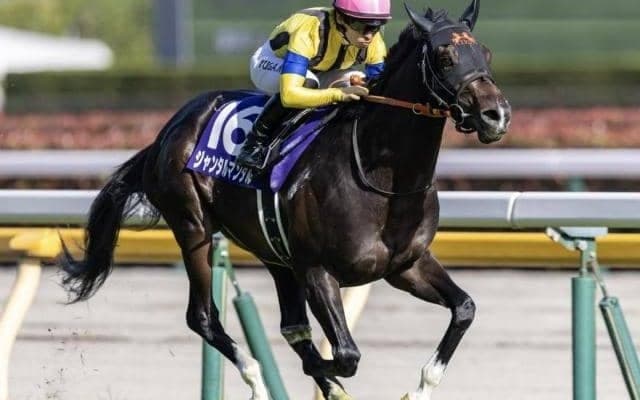 3歳マイル王が海外初参戦 NHKマイルC以来7カ月ぶり実戦で香港マイルに挑む