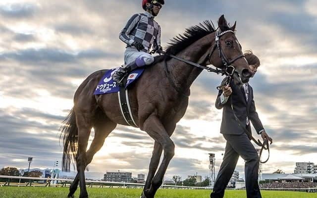【有馬記念ファン投票最終結果】ドウデュースが歴代最多得票で首位！ 約48万票を獲得