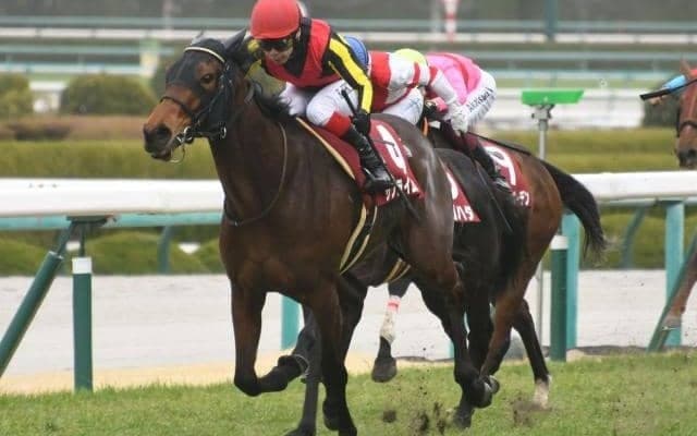 22年フィリーズレビューでナムラクレアを破り初タイトル サブライムアンセムが抹消＆繁殖入り