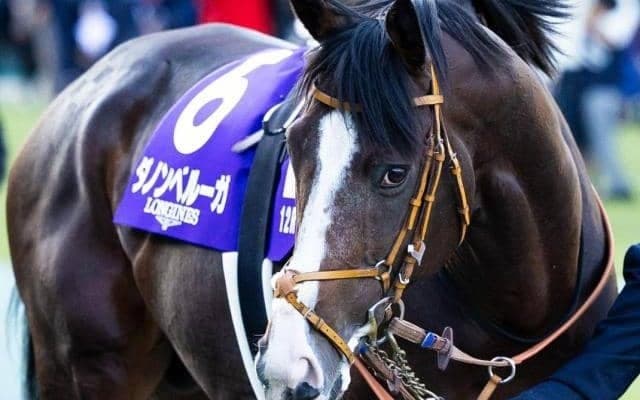 ダノンベルーガやボンドガールの半妹が待望デビュー 初戦を制しGI戦線に駆け上がるか