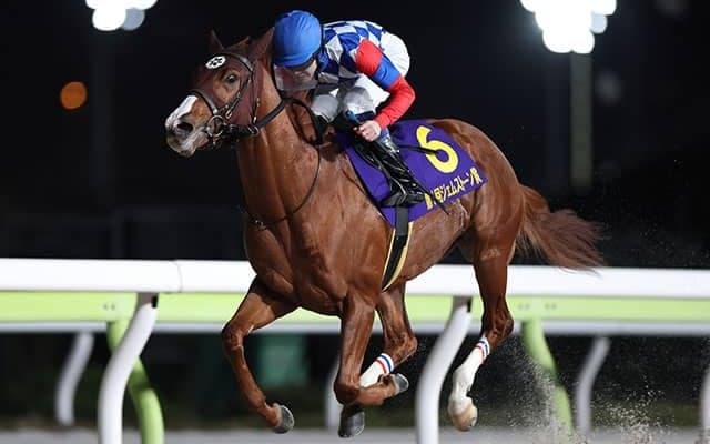 【大井・ジェムストーン賞結果】5番人気のプリムスパールスが4馬身差逃げ切りV！