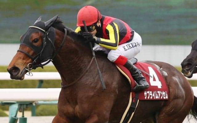 サブライムアンセムの競走馬登録抹消