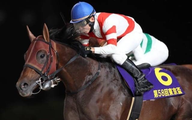 【カペラS枠順確定】チカッパは6枠11番、インビンシブルパパは4枠8番