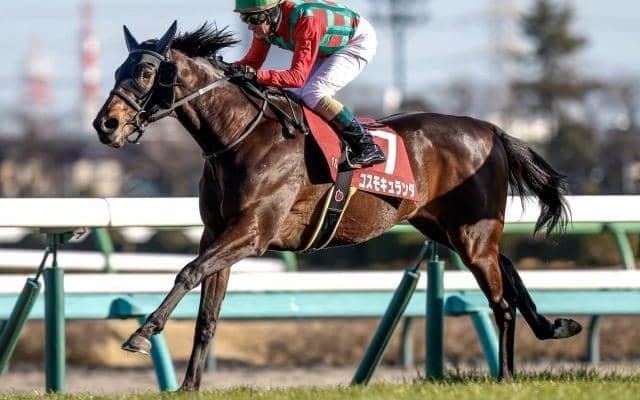 【今日の注目ポイント】中京の中日新聞杯に皐月賞2着馬コスモキュランダが登場