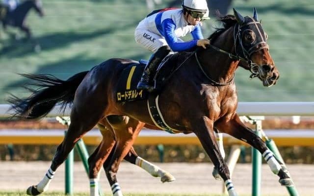 【中日新聞杯予想】混戦必至なハンデ重賞 急坂を2度越える難コースを攻略するのは