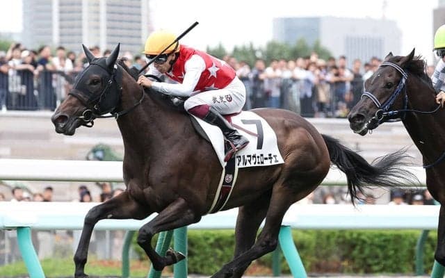 【競馬血統予想】京都開催の阪神ジュベナイルフィリーズは、「２歳戦の実績」を重視して２頭をピックアップ
