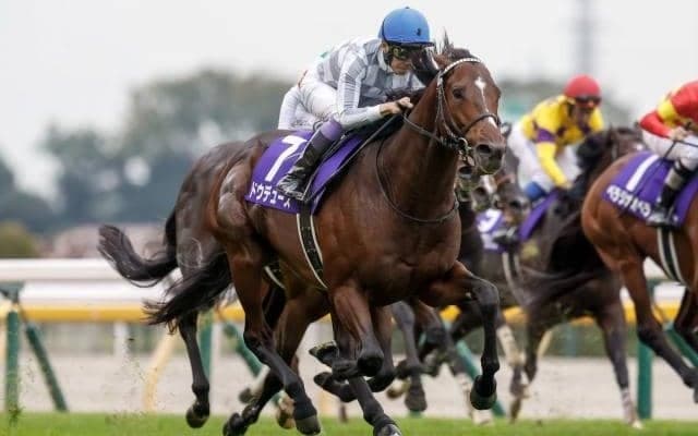 ドウデュースの引退式を有馬記念後に実施